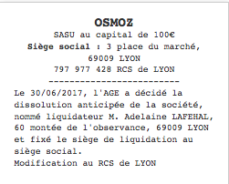 publicite legale dissolution sasu